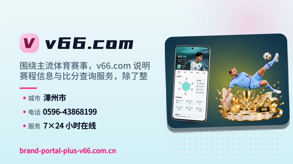 v66.com概况